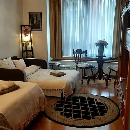 Apartment Modern Lux Studio W Inside Parking 5 Min From Skadarlija, Republic Sqre *