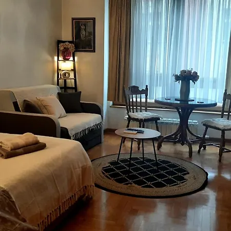 Apartment Modern Lux Studio W Inside Parking 5 Min From Skadarlija, Republic Sqre
